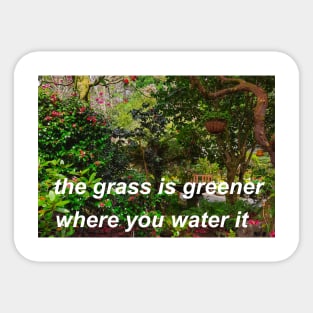 "the grass is greener where you water it" (photo version) ♡ Y2K slogan Sticker